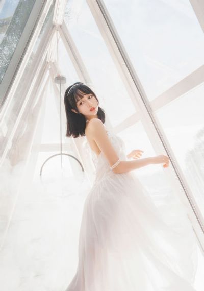 最新电视剧免费观看全集完整版