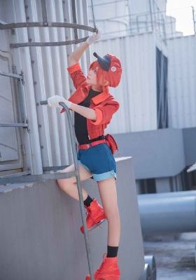 少女大人第二季