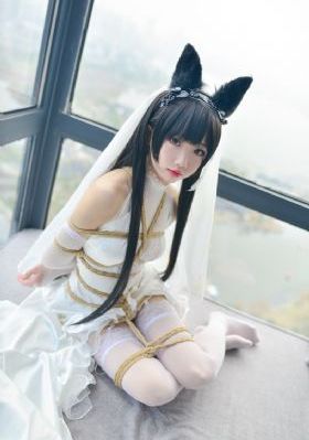三体动漫免费观看完整版在线观看